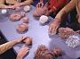 2.15 - The Trouble With Tribbles