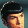 spock-008.jpg