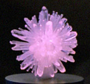 Velaraner