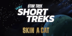 Skin a Cat