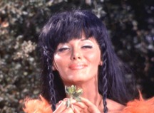 A Private Little War