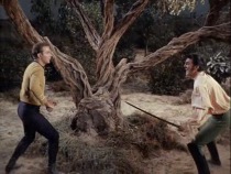 The Squire of Gothos