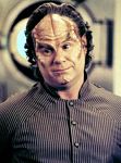 phlox-3.jpg
