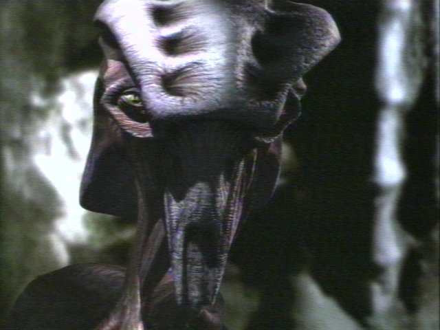 8472-9.jpg