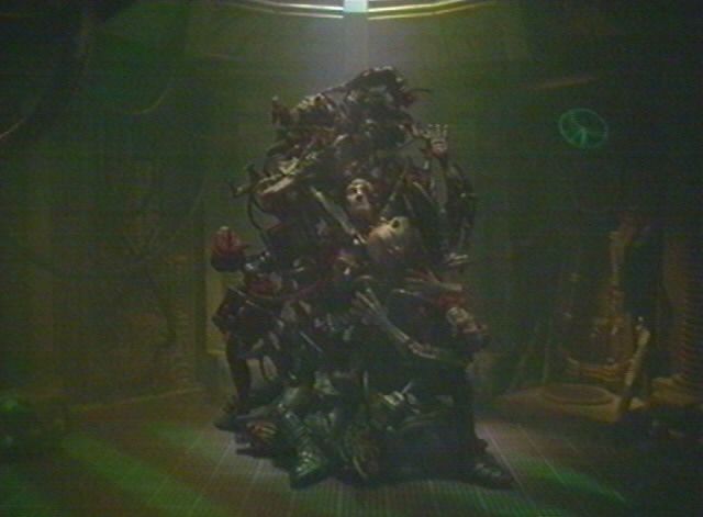 scorpion_del1-09.jpg