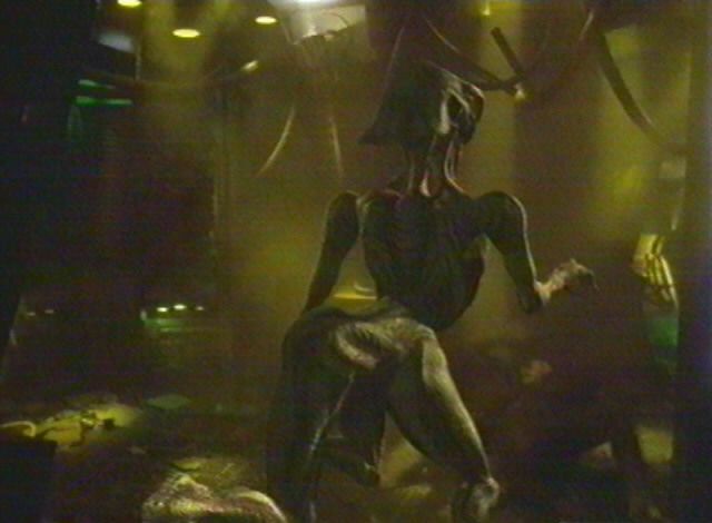 scorpion_del1-22.jpg
