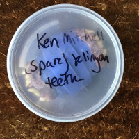 discovery-klingonska-ta-nder-ken-mitchell-instagram_170502.jpg